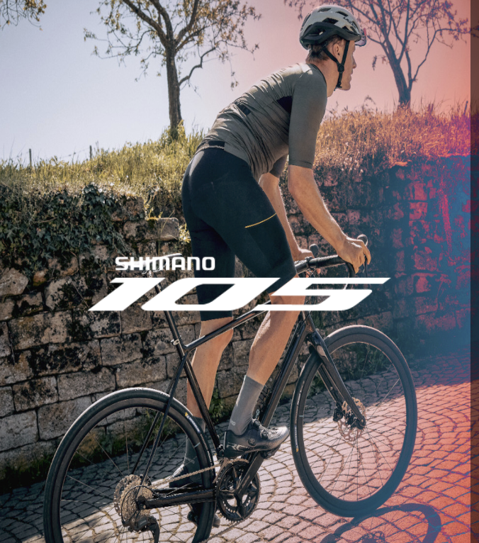 FIND YOUR FAST - Revista ENKDNA